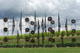 Rêve de fer, chemin de feu-(800x340x415 cm)-2009- château Larrivet Haut-Brion