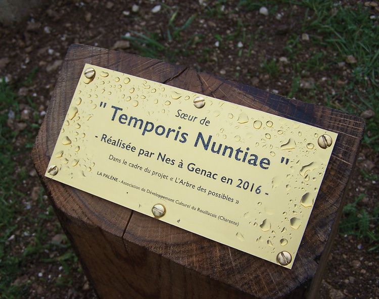 Temporis Nuntiae Filia 2